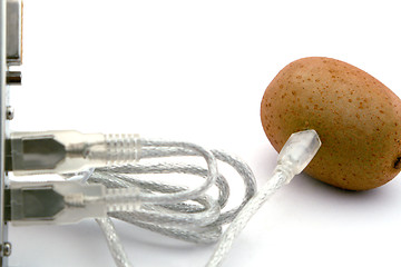 Image showing The kiwifruit connected through usb cable