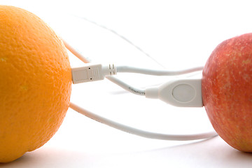 Image showing The orange and apple are connected through a cable 1