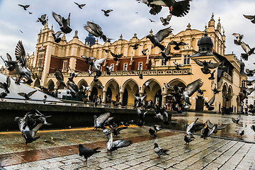 Image showing A lot of doves in Krakow old city.