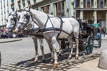 Image showing Traditional coach (Fiaker) today traveling tourists in Vienna, A