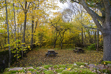 Image showing Autumnal resting place