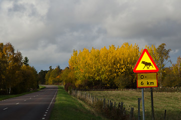 Image showing Moose warning sign