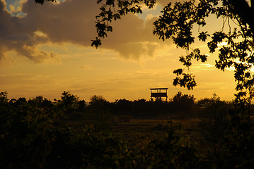 Image showing Bird watching tower