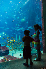 Image showing Huge aquarium in a hotel Atlantis in Dubai on the Palm islands