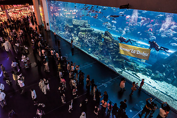 Image showing Largest aquarium of the world in Dubai Mall