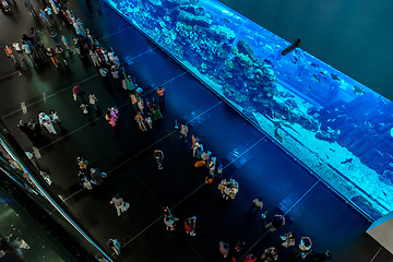 Image showing Largest aquarium of the world in Dubai Mall