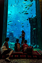 Image showing Huge aquarium in a hotel Atlantis in Dubai on the Palm islands