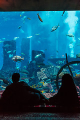 Image showing Huge aquarium in a hotel Atlantis in Dubai on the Palm islands