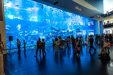 Image showing Largest aquarium of the world in Dubai Mall