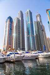 Image showing Dubai Marina cityscape, UAE