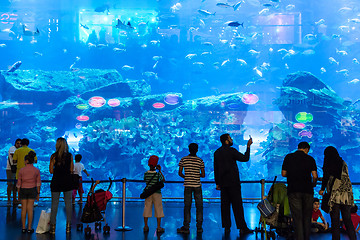 Image showing Largest aquarium of the world in Dubai Mall