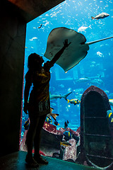 Image showing Huge aquarium in a hotel Atlantis in Dubai on the Palm islands