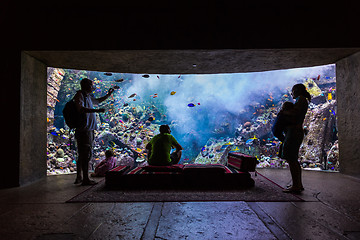 Image showing Huge aquarium in a hotel Atlantis in Dubai on the Palm islands