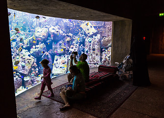 Image showing Huge aquarium in a hotel Atlantis in Dubai on the Palm islands