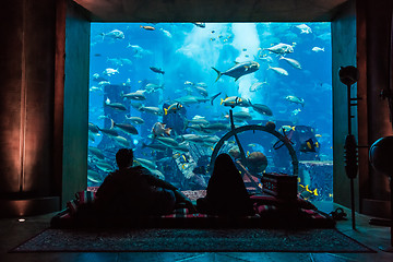 Image showing Huge aquarium in a hotel Atlantis in Dubai on the Palm islands