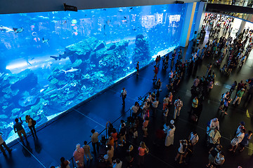 Image showing Largest aquarium of the world in Dubai Mall