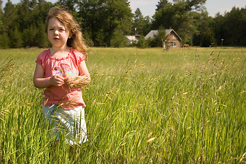 Image showing Billowing Grass