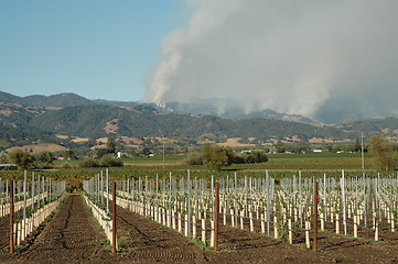 Image showing Wine Country wildfires