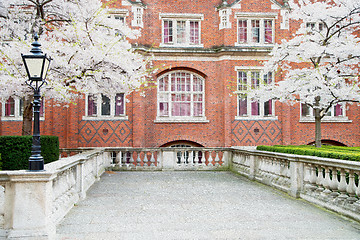 Image showing tree  window in europe london  red brick wall     and      histo