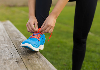 Image showing Ready to train