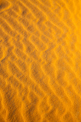 Image showing   brown dune in the sahara  desert 