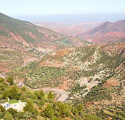 Image showing dades valley in atlas moroco africa ground tree  and nobody