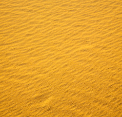 Image showing africa the brown sand dune in   sahara morocco desert line