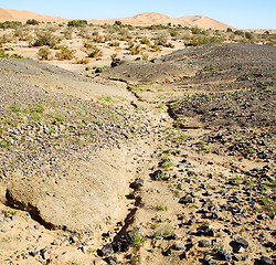 Image showing  old fossil in  the desert of morocco sahara and rock  stone sky