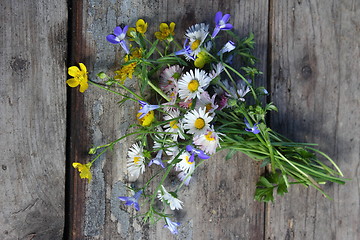 Image showing Wild flowers