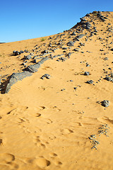 Image showing  bush old fossil in  the   footstep  rock  stone sky