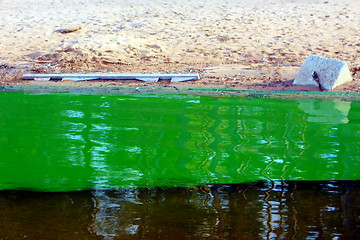 Image showing  Freshwater Lake with a dense bloom of green alga in freshwater lake.