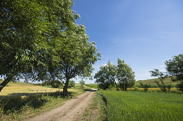 Image showing Ground road in a rural landscape
