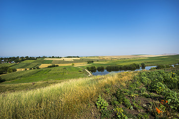 Image showing Summer fields