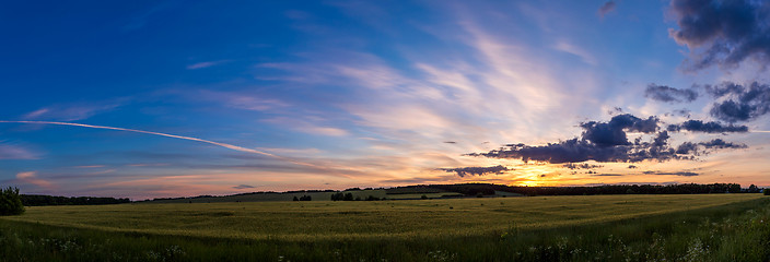 Image showing wheat field on sunset