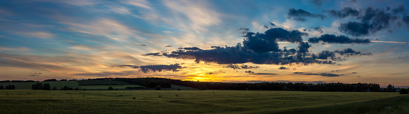 Image showing wheat field on sunset