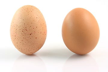 Image showing different eggs