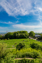 Image showing Cityscape of Kiev, Ukraine. Green trees, landscape
