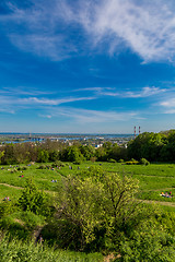 Image showing Cityscape of Kiev, Ukraine. Green trees, landscape