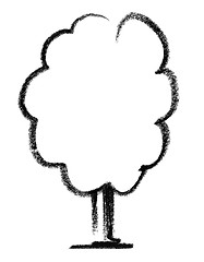 Image showing deciduous tree sketch