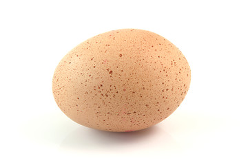 Image showing spoted egg