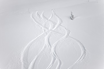 Image showing Ski Slope with Fresh Curves