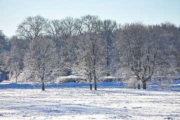 Image showing Winter Park