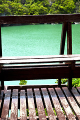 Image showing  coastline of a green lagoon and tree  south balcony