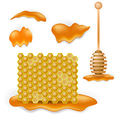 Image showing Sweet Honey Combs