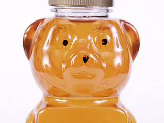 Image showing Golden Honey Bear Face