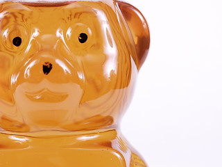 Image showing Golden Honey Bear, text