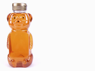 Image showing Golden Honey Bear, full, text