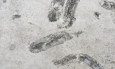 Image showing Stone texture with fossils