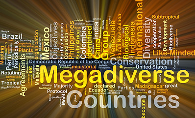 Image showing Megadiverse countries background concept glowing