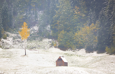 Image showing Colorful autumn landscape 